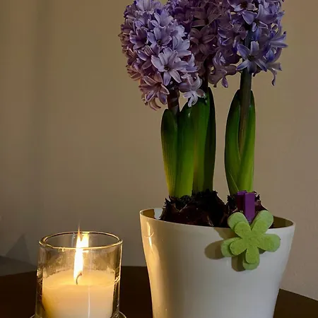 Appartement Apartman Slnecna Terasa S Vlastnym Parkovanim Na 2 Auta *